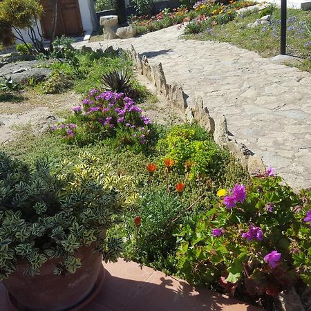 Casa Vacanze Miranda توري دي كورساري المظهر الخارجي الصورة